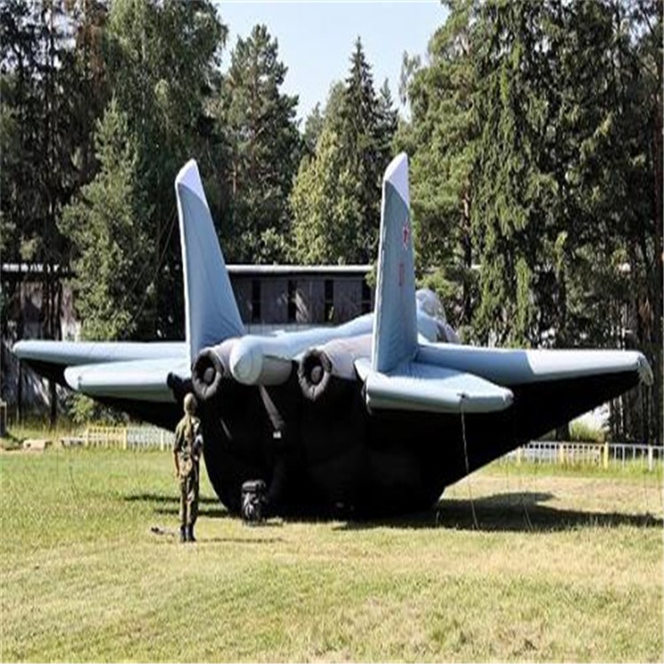 龙湖镇充气飞机模型